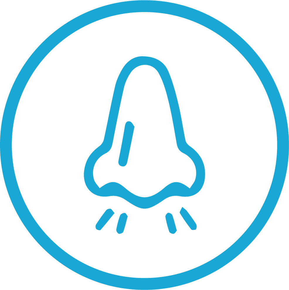 Nose smelling clean odor icon